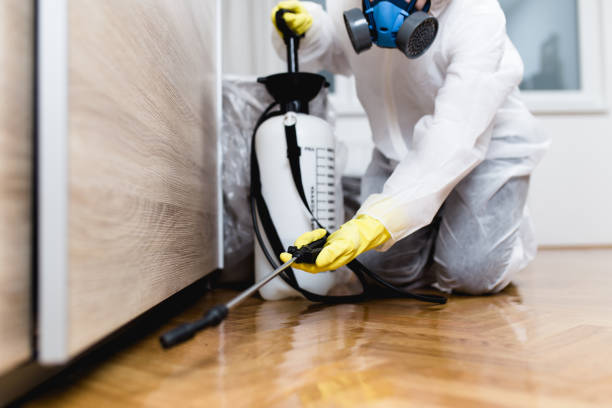Best Local Pest Control Services  in Methuen Town, MA