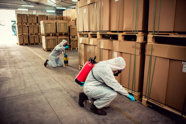 Best Pest Control Near Me in Methuen Town, MA