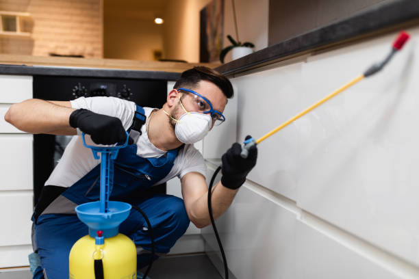 Best Pest Inspection Near Me  in Methuen Town, MA
