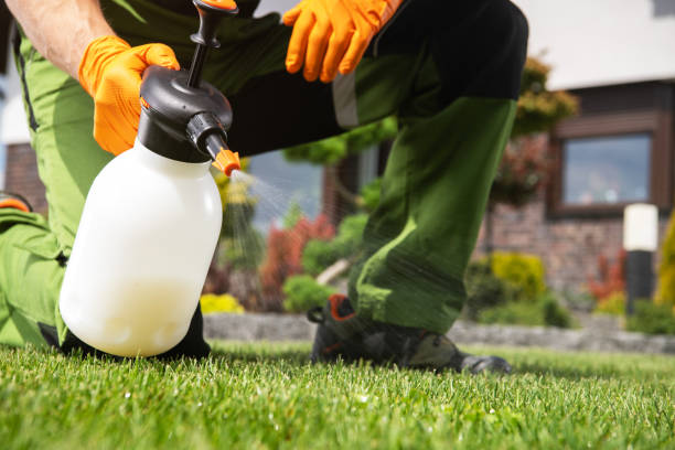 Best Pest Removal Services  in Methuen Town, MA